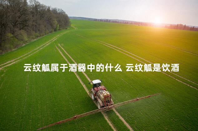 云纹觚属于酒器中的什么 云纹觚是饮酒器吗